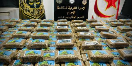 إيقاف 6 اشخاص عقب تفكيك شبكتين لتهريب المخدرات وحجز كميات منها بجهات في بن عروس - اخبارك الان