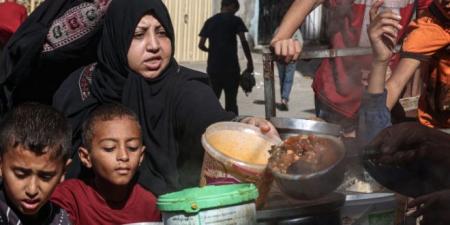 7 دول أوروبية: "لن نصمت أمام الكارثة الانسانية في غزة".. #خبر_عاجل - اخبارك الان