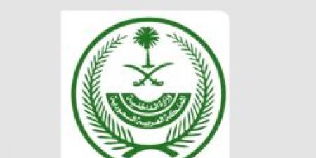الداخلية تعلن ضبط 17 ناقلًا مخالفًا بأنظمة الحج خلال محاولة تهريب 61 حاجًا بدون تصريح - اخبارك الان