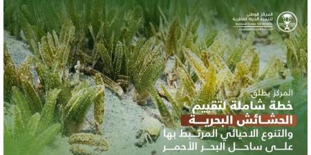"الحياة الفطرية" تُطلق خطة لمراقبة الحشائش البحرية والتنوع الأحيائي على امتداد ساحل البحر الأحمر - اخبارك الان