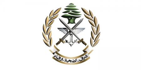 الجيش حذّر من افتعال إشكالات وإطلاق النار: توقيف 4 مواطنين ببعلبك ودروس لحيازتهم مسدسات حربية - اخبارك الان