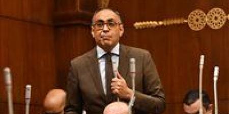 هانى سرى الدين ينتقد هيمنة الاستثمار الحكومي ويحذر من إهمال القطاع الخاص في خطة التنمية - اخبارك الان