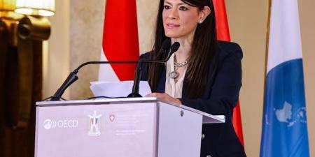 المشاط:الدولة تنفذ العديد من البرامج لتطويرمؤشرات التنمية البشرية - اخبارك الان