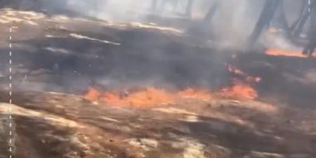 بالفيديو .. حريق يلتهم أحراش سحم .. ورئيس بلدية الشعلة يستنجد بالأهالي لإخماده - اخبارك الان