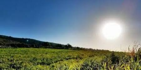 أجواء حارة نسبيًا منتصف الأسبوع واستقرار نسبي يوم الجمعة - اخبارك الان