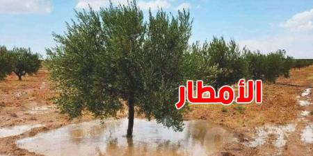 أمطار أفريل: الشمال والوسط يُسجّلان معدلات قياسية - اخبارك الان
