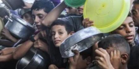 رئيس الوزراء القطري يبحث هاتفيا مع مسئولة أوروبية تطورات الأوضاع في غزة - اخبارك الان