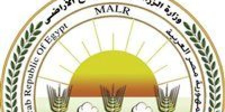 لرفع العبء عن المواطنين.. «الزراعة»: طرح بيض المائدة بسعر 115 جنيه للطبق - اخبارك الان