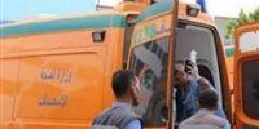 إصابة سيدة بجروح خطيرة في تهشم 4 مركبات توك توك بدائري المنيب - اخبارك الان