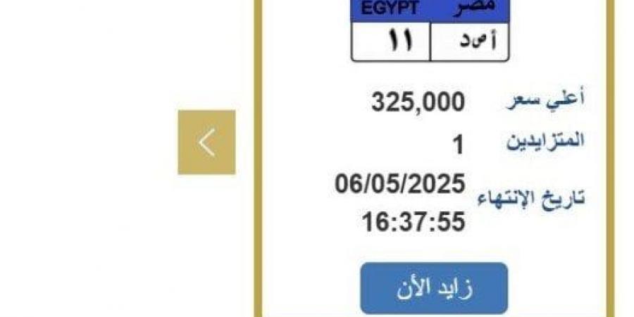 سعرها 325 ألف جنيه.. خطوات التزايد على لوحة سيارة مميزة - اخبارك الان