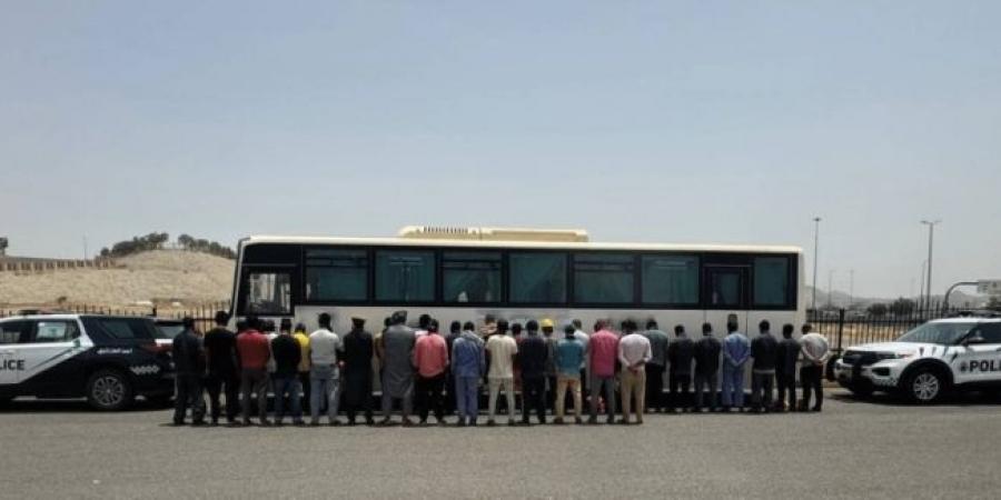 ضبط مقيم نقل (35) مقيمًا لا يحملون تصريحًا بالحج - اخبارك الان