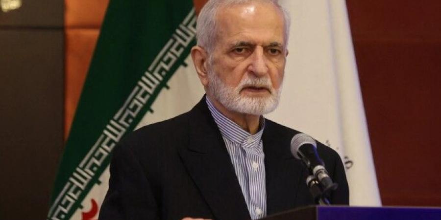 رئيس مجلس العلاقات الخارجية الإيراني: الكيان الإسرائيلي يعتدي على لبنان وسوريا بهدف التقسيم - اخبارك الان