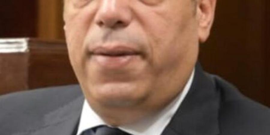 الصافي عبد العال: زيارة الرئيس لروسيا تؤكد نجاح مصر في صياغة سياسة خارجية متوازنة تقوم على المصالح المشتركة - اخبارك الان