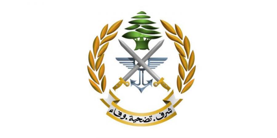 الجيش: توقيف شخصَين لارتكابهما جرائم مختلفة - اخبارك الان