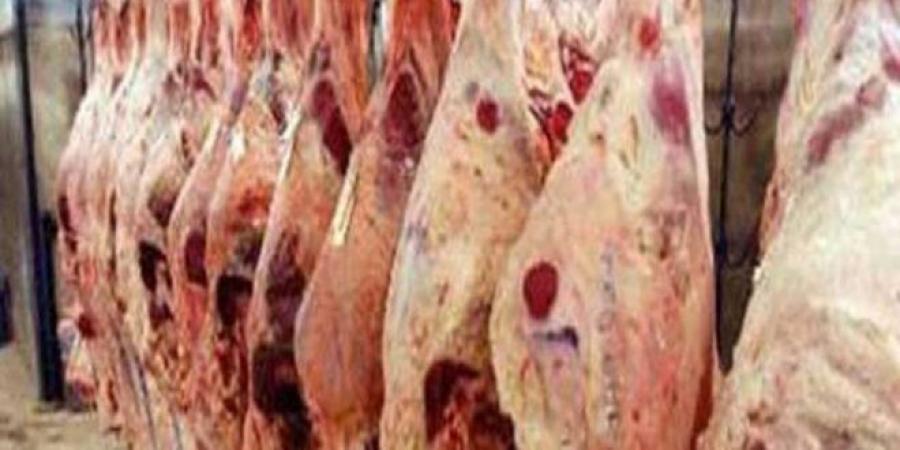 شحنة من اللحوم الحمراء الموردة ستصل تونس وتضخ في الأسواق بداية من هذا التاريخ..#خبر_عاجل - اخبارك الان