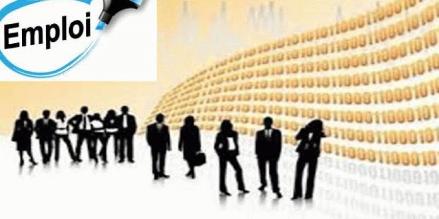 عاجل/ بشرى سارة: انتدابات جديدة في الوظيفة العمومية والقطاع العام.. - اخبارك الان