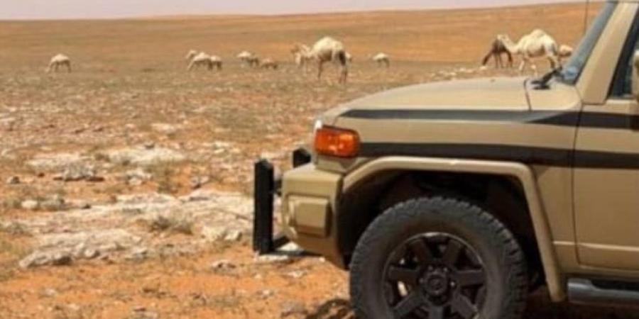 ضبط مواطن خالف نظام البيئة بالرعي في موقع محظور - اخبارك الان