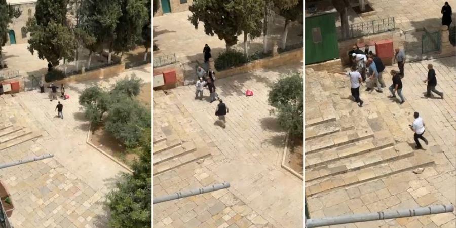 حراس المسجد الأقصى يمنعون مستوطنين من تهريب خروف لذبحه في ساحات المسجد - اخبارك الان