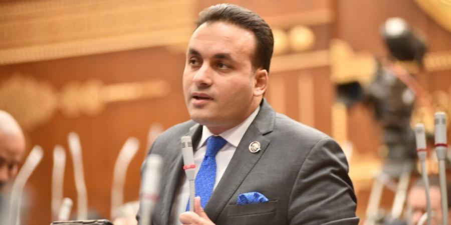 النائب عمرو فهمي: كلمة الرئيس السيسي بقمة بغداد أكدت مواقف مصر نحو حماية الأمن القومي العربي  - اخبارك الان