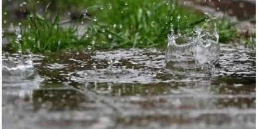 الأرصاد: الموسم المطري ضعيف والأغوار الجنوبية الأفضل أداءً بنسبة 79% - اخبارك الان