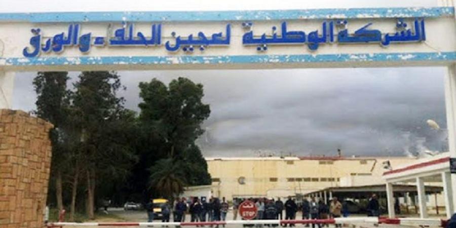 الشركة الوطنية لعجين الحلفاء والورق بالقصرين تنطلق مبكرًا في تأمين حاجيات العودة المدرسية 2025-2026 - اخبارك الان